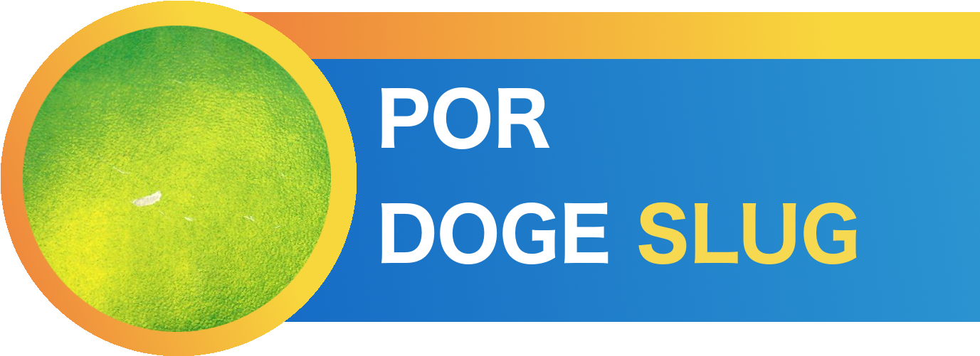 Creamos Un Proyecto Para Taringa Y Te Lo Cuento - Circle (1973x1070), Png Download