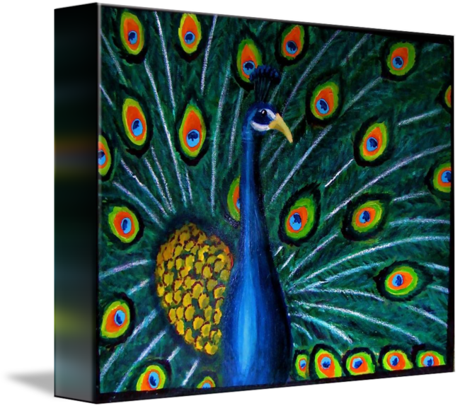 Peacock On X Canvas - Peafowl (650x577), Png Download