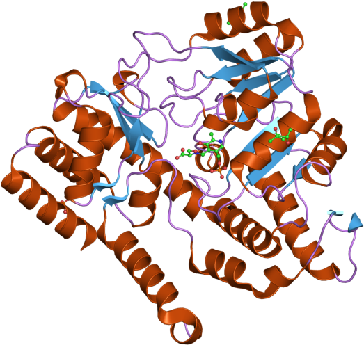 Pdb 2vmp Ebi - Graphic Design (800x600), Png Download