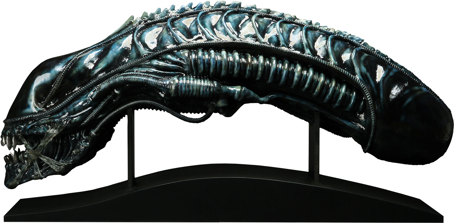 Alien - Alien Warrior Life-size Head Aliens Prop Replica (1500x764), Png Download