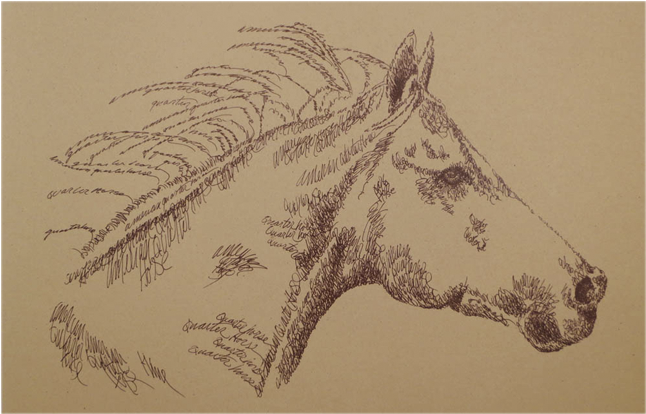 Portrait By Stephen Kline - Horse (645x1000), Png Download