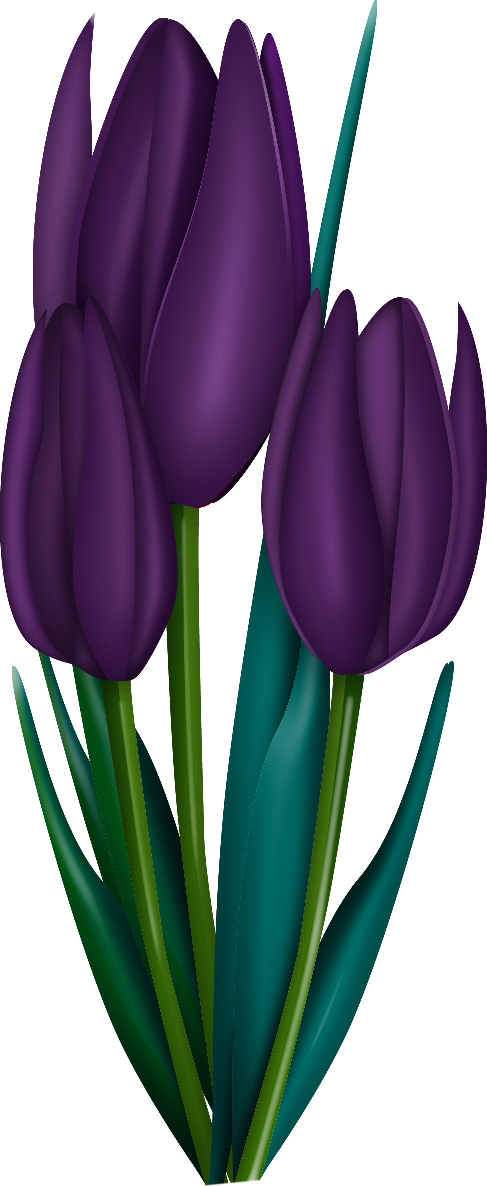 0 14366e Cdbddc37 Orig - Flower (975x2374), Png Download