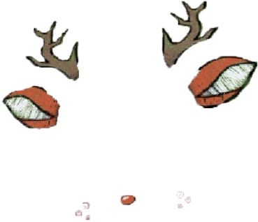 1000 Images About 🍥 Overlays 🍥 On We Heart It - Reindeer (500x889), Png Download