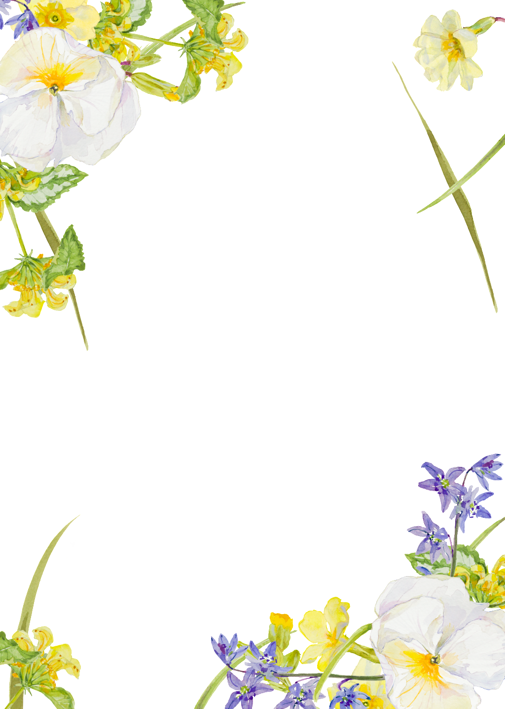 Purple White Flower Plant Watercolor Hand Painted Transparent - Yellow (1024x1435), Png Download
