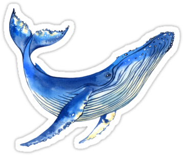 Quot Watercolor Whale Quot Stickers By Evgeniia Zagreeva - Whale Sticker (375x360), Png Download