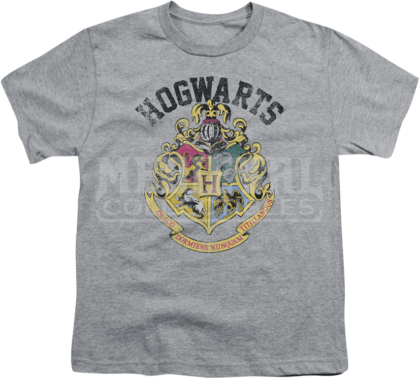 Youth Harry Potter Hogwarts Crest T-shirt - Green Day Dookie Shirt (850x850), Png Download