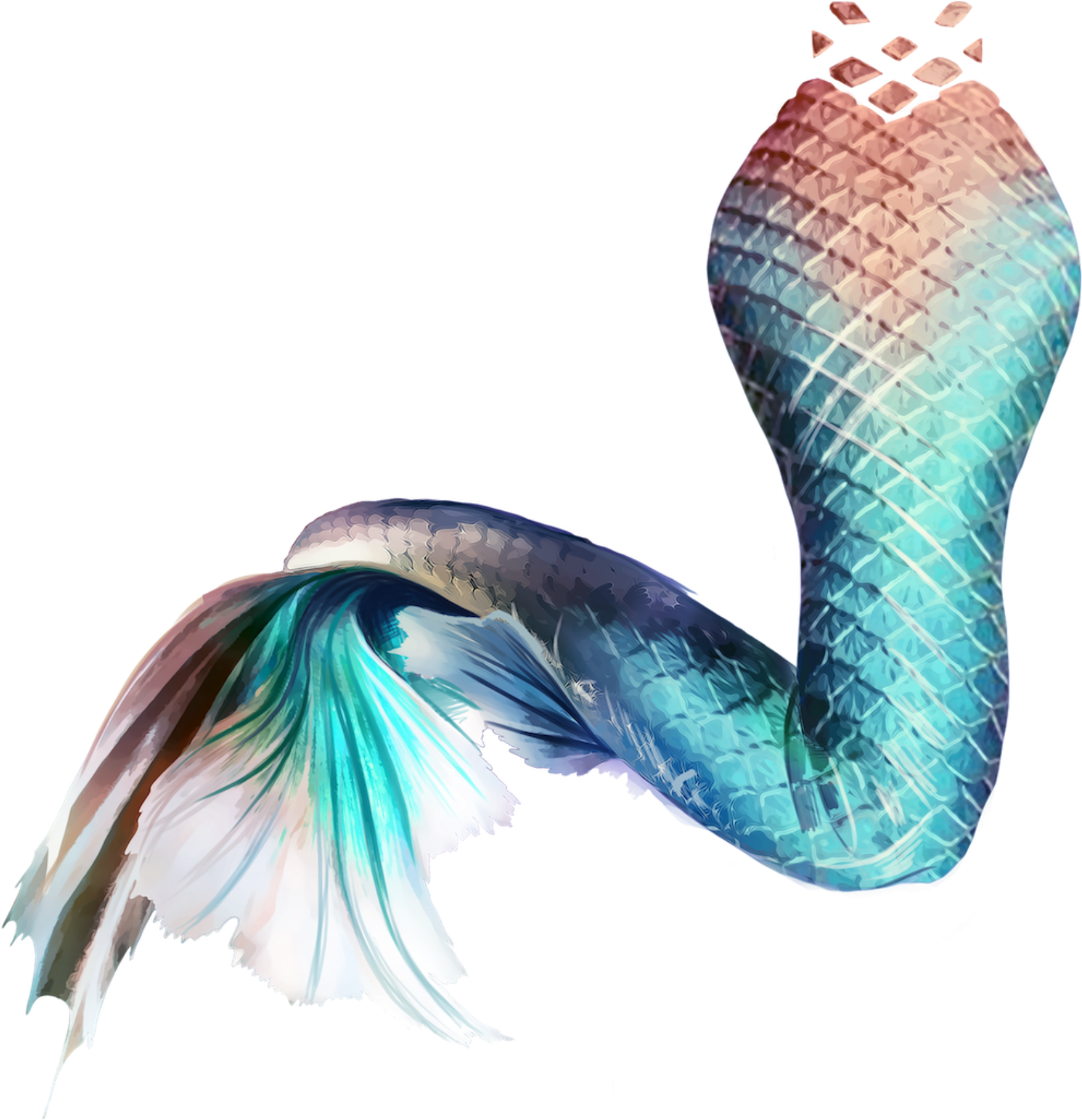 Mermaid Tail Sticker (1817x1988), Png Download