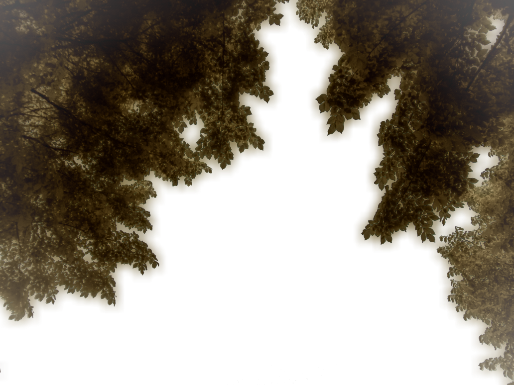 Hanging Branches Png Stock 02 June 2017 By - Spruce (1032x774), Png Download