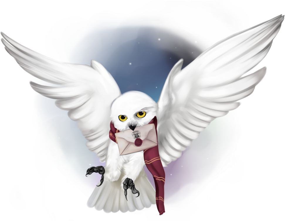 Hedwig By Anyatagomachii On Deviantart Png - Cartoon Hedwig (1063x752), Png Download