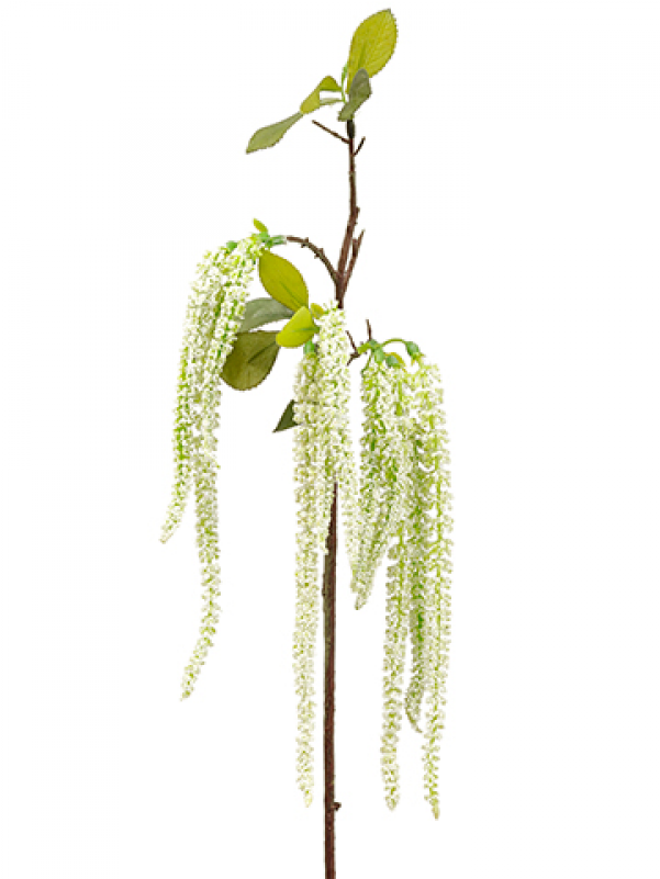 19" Amaranthus Hanging Spray Cream Green - Silk Amaranthus Hanging Spray In Cream Green - 19" (800x800), Png Download