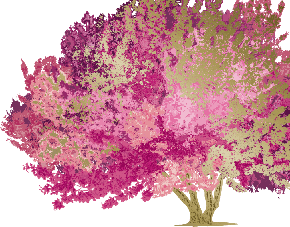 Smoke Tree - Chardonnay 2015 (750ml) (1014x793), Png Download