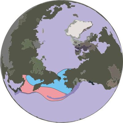 Ribbon Seal Range A - Ribbon Seal Habitat (400x400), Png Download