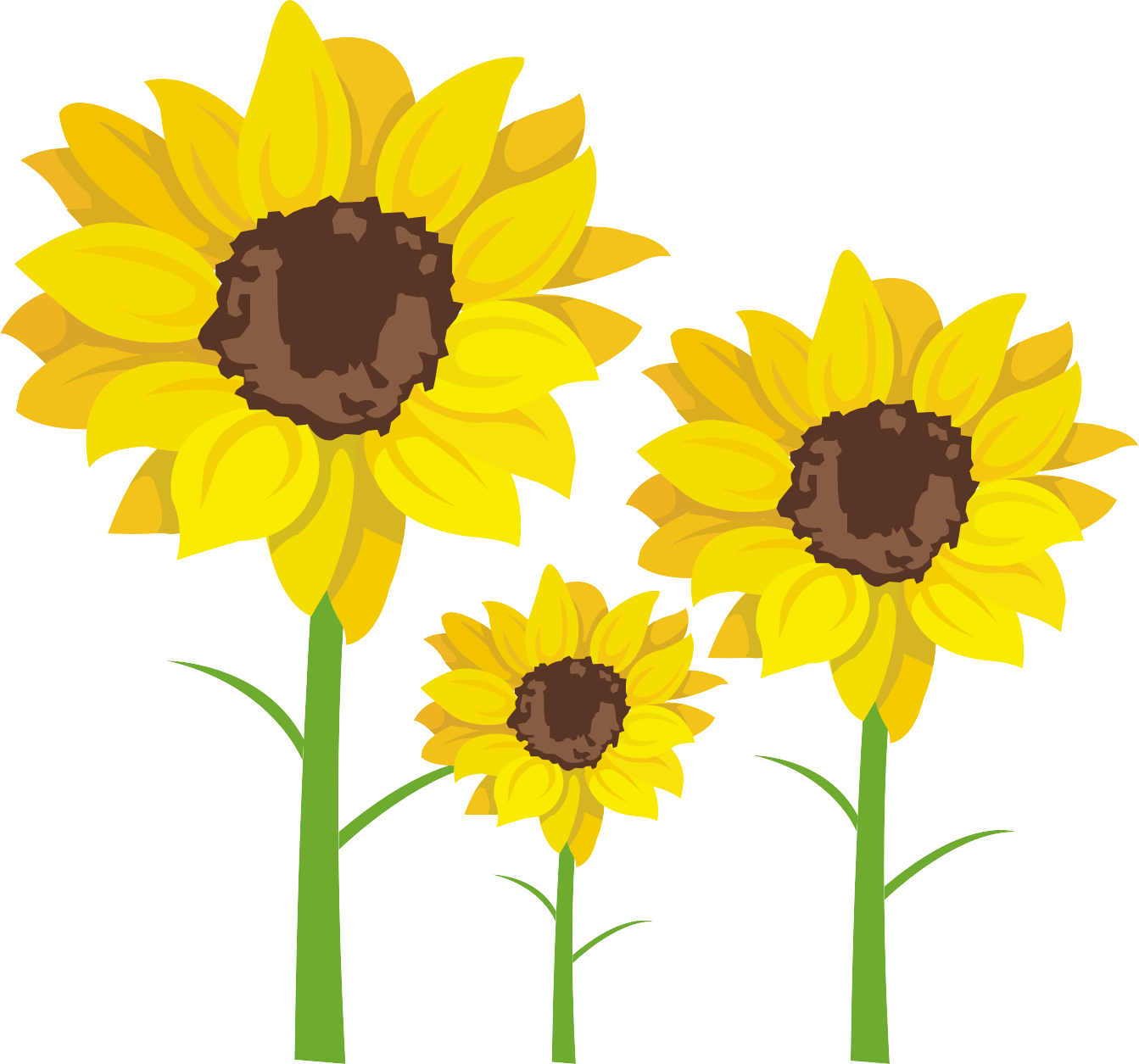 Common Clip Art Transprent Png Free Download - Sunflower Class Clipart (1343x1255), Png Download