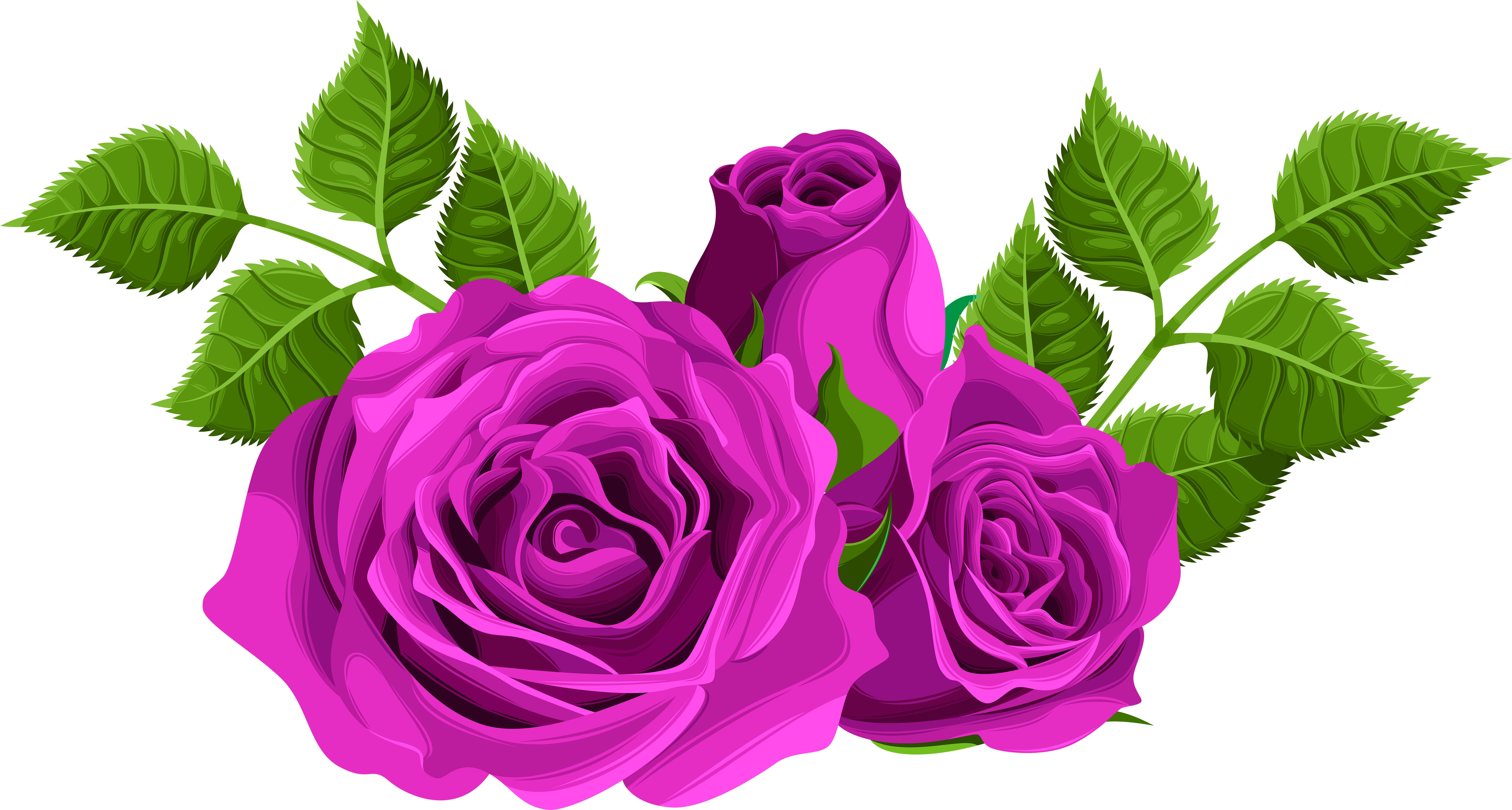 Clip Black And White Download Decorative Png Clip Art - Pink Roses Clip Art (8000x4325), Png Download