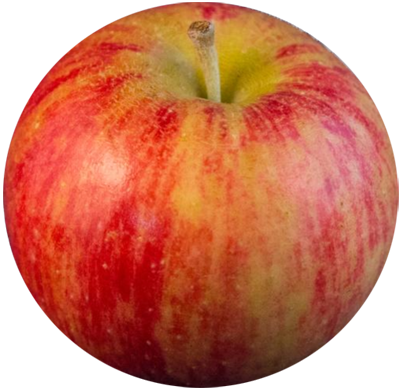 Chestnut-crabapple - Chestnut Crabapple (400x390), Png Download