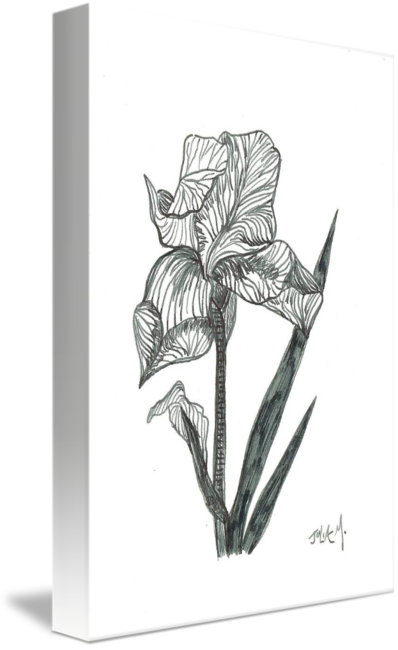 Collection Of Free Download On Ubisafe By - Openclipart (398x650), Png Download