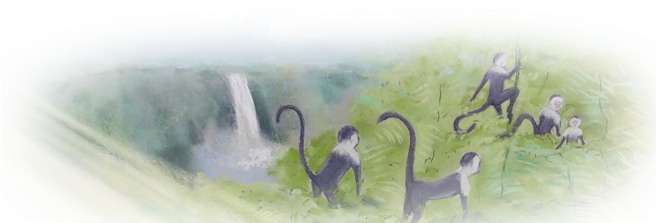 Nuestros Libros - Langur (655x377), Png Download