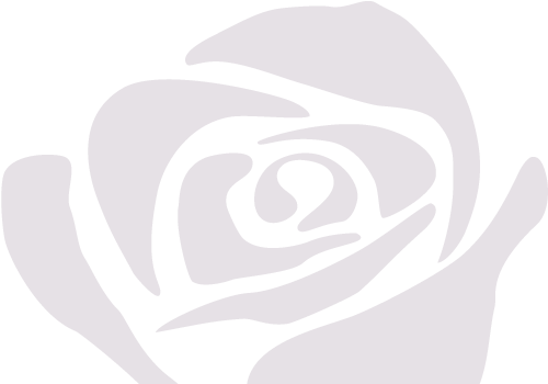 Welcome - Purple Rose Theater (527x366), Png Download