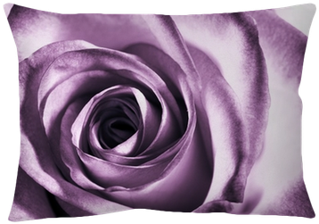 Rose Mural Wallpaper Uk (400x400), Png Download