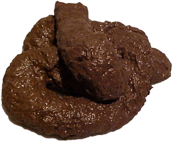 Dog Shit Png - Transparent Background Poop Png (600x600), Png Download