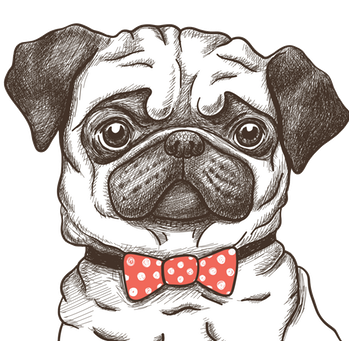 Hug A Pug Coloring Book For Adults: Much Loved Dogs (350x350), Png Download