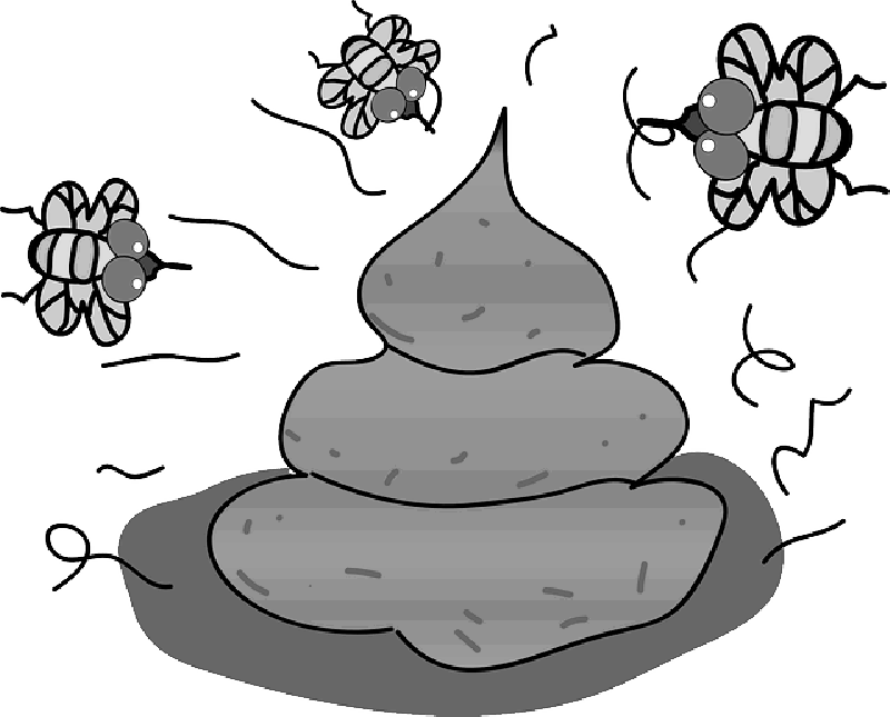 Mb Image/png - Human Waste Clipart (800x645), Png Download