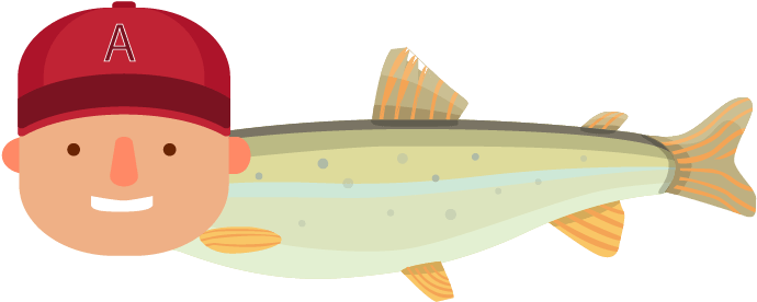 Advertisement - Fish (900x505), Png Download