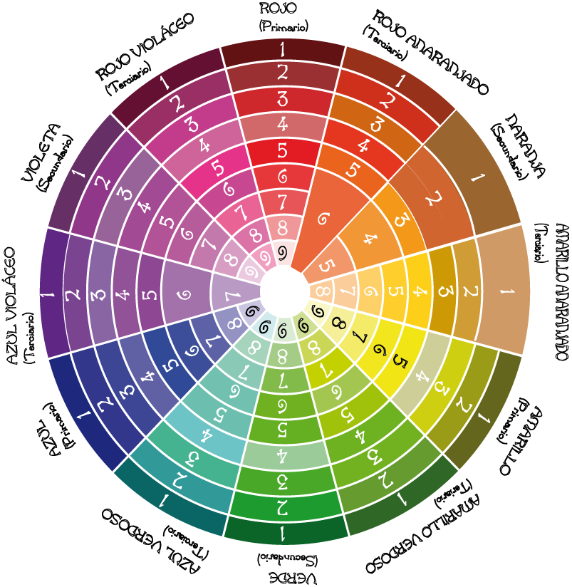 Círculo Cromático Lidercosmética - Color Wheel (803x824), Png Download