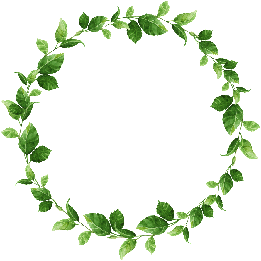 Hand-painted Small Leaf Circle Png Transparent Material - Circulo De Folhas Png (1024x1024), Png Download