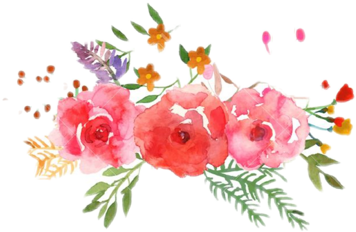 Illustration (735x480), Png Download
