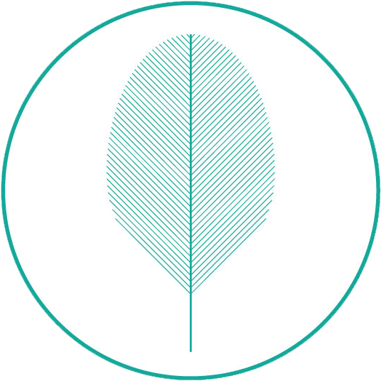 20171127 Logo Cf Circulo - Circle (591x584), Png Download