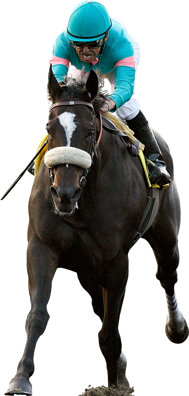 Zenyatta And Mike Smith Photo Zenyatta (643x1345), Png Download