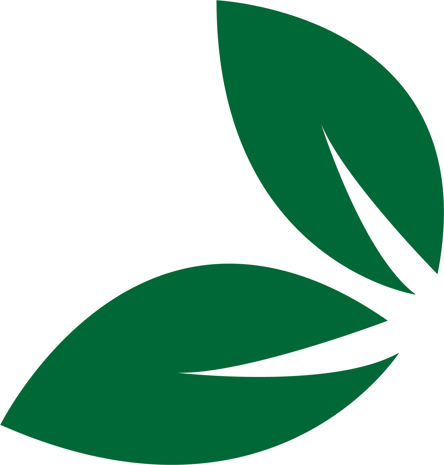 Hoja Png - Leaf (3334x2500), Png Download