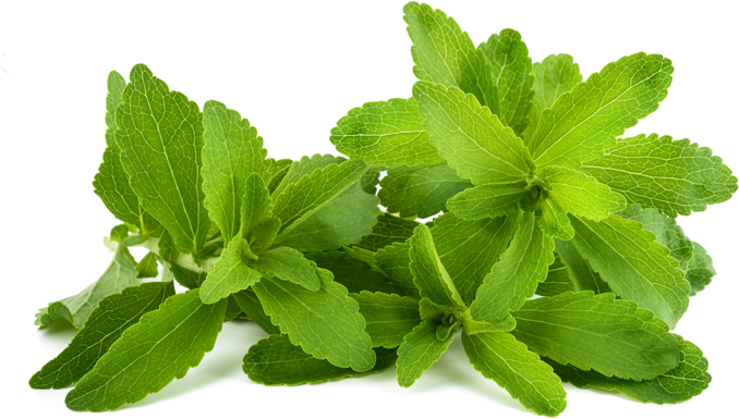 Learn More Stevia Leaf - Stevia Liquid Drops (687x398), Png Download