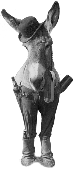 Forbes - Olancha Remembered (250x570), Png Download