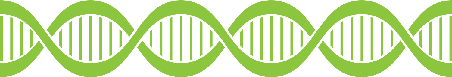 Health System Operational Excellence - Advanced Mechanical Models Of Dna Elasticity (1500x1068), Png Download