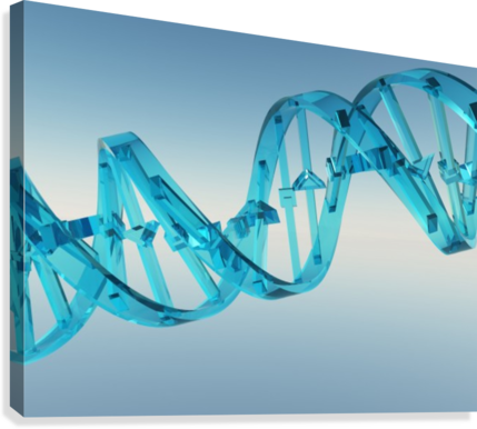 Dna Strand Canvas Print - Dna (429x386), Png Download