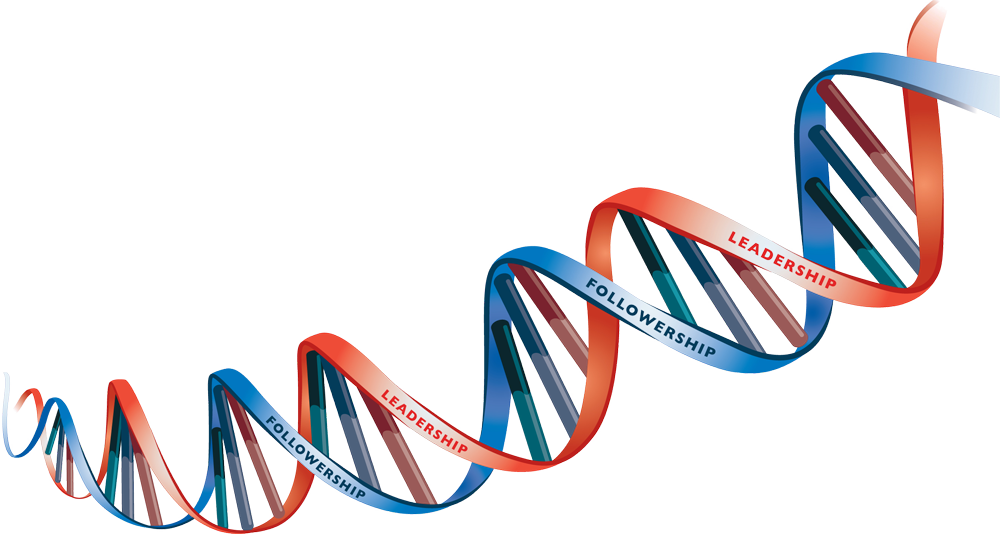 Flipskills Potentiate Your Whole - Dna Png (1000x534), Png Download