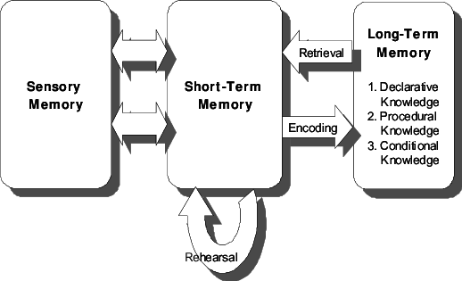 What's Critical To Understand, Is That The Capabilities - Domain-specific Learning (518x315), Png Download
