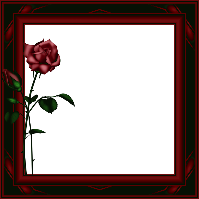 Dark Rose Frame Png (670x670), Png Download