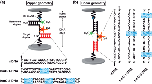 Mfa Setup - Multi-factor Authentication (500x274), Png Download