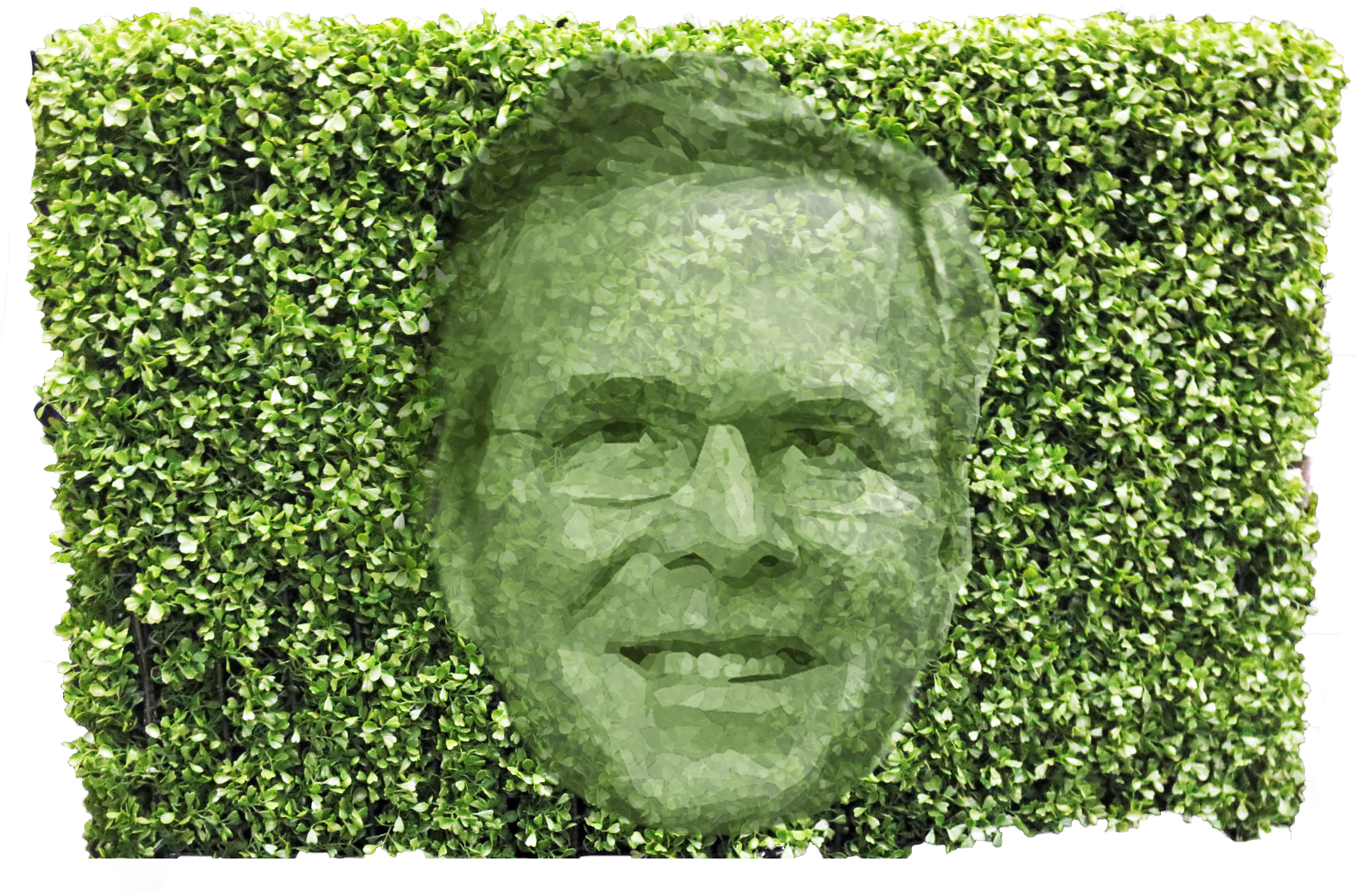 Clipper Next Bush Hedge Jeb Bush - Hedge (1843x1382), Png Download