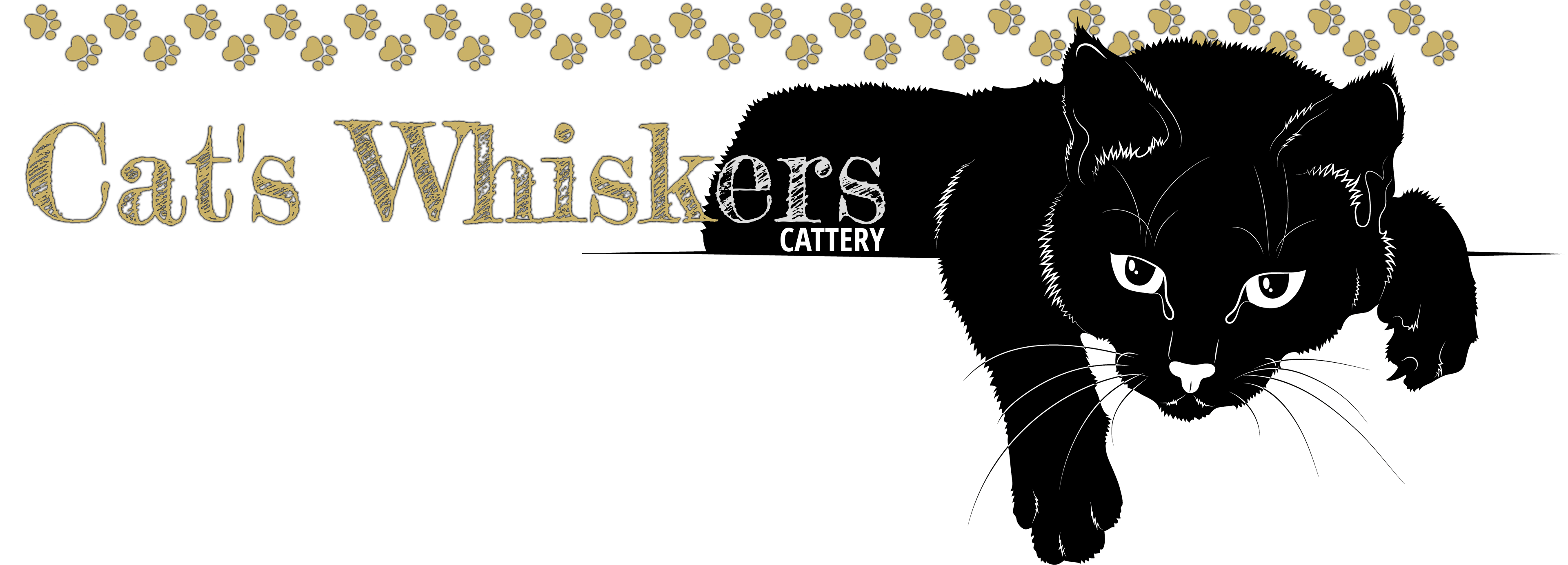 Cat (4992x1384), Png Download