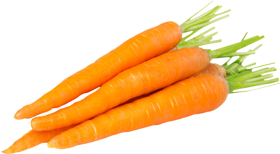 Includes Several Nutrients Extracted From Wholesome - Carrots With White Background (600x350), Png Download