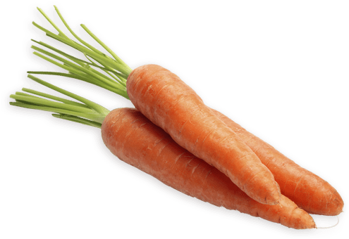 Carrots - Maduracion De La Zanahoria (500x500), Png Download