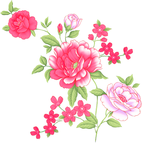 Flower Prints - Garden Roses (586x590), Png Download