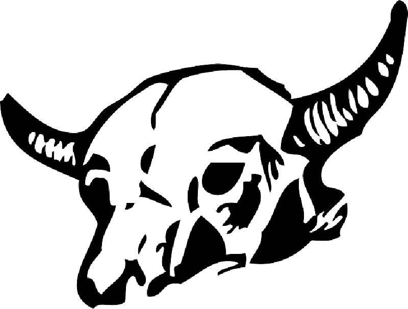 Mb Image/png - Dead Animal Clip Art (800x606), Png Download