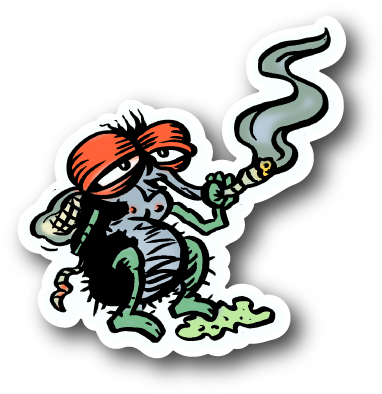 Fly Smoking Weed Sticker - Fly Smoking (600x600), Png Download