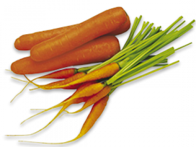 Carrots - New Zealand Vegetable Book (400x300), Png Download