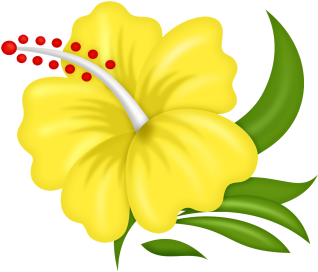 Featured image of post Flores Animadas Png